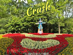 -上海共青森林公园