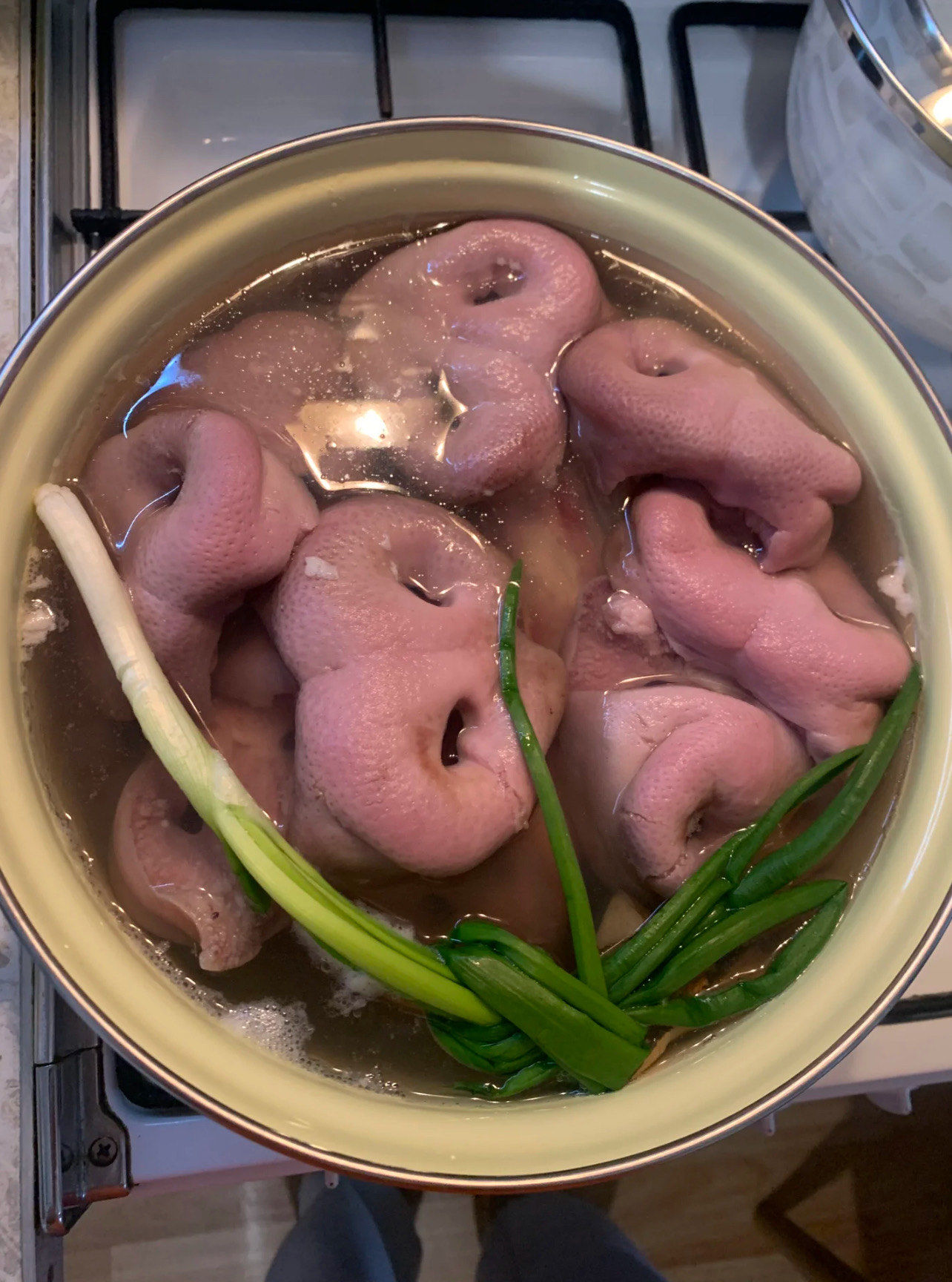 吃了可爱的猪鼻子会变可爱吗?