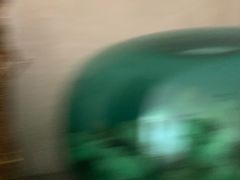 -稻香村(地铁四惠站店)