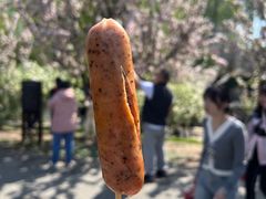 -元大都城垣遗址公园