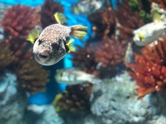 -福州罗源湾海洋世界旅游区