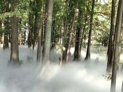 -东湖落雁景区