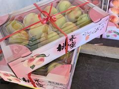 -南汇水蜜桃采摘(大团店)