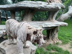 -北京野生动物园