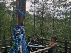-莫尔道嘎国家森林公园