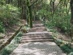 -苏州上方山国家森林公园