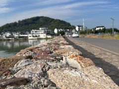 -海驴岛(荣成市)