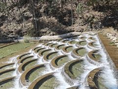 -永州阳明山国家森林公园
