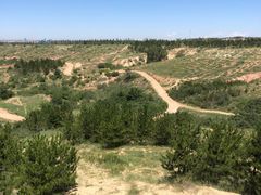 -鄂尔多斯野生动物园