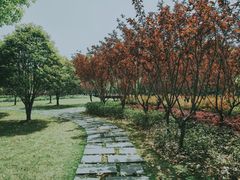 -龙华烈士纪念馆-停车场