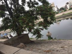 -桃花堤公园