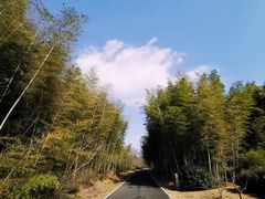 -宜兴龙背山森林公园