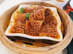 -点都德·毕德寮