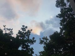 -珞珈山-售票处