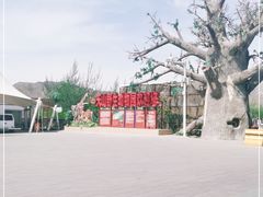 -新疆天山野生动物园