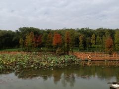 -凤凰沟景区