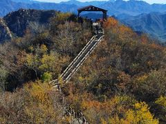-大岭沟猕猴桃谷风景区