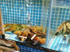 青岛酥皮大虾-庆赫隆融合菜馆(群力店)