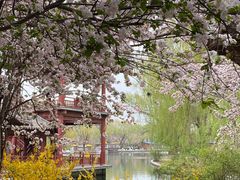 -百脉泉景区