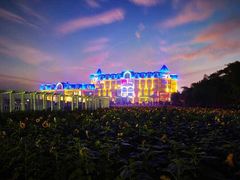 -广州花之恋城堡酒店