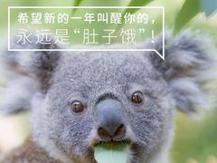 -斯比特花园西餐厅(东方商厦店)