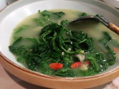 上汤桑叶苗-大榕树下顺德菜(融创茂店)