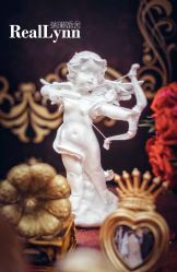 -静安洲际酒店·宴会厅