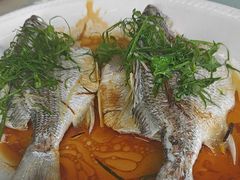 -八仔大富楼·河鲜(西江店)