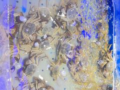 -澜悦港海鲜体验主题餐厅