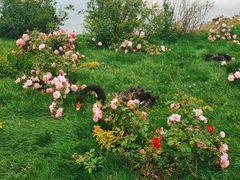 -长春市南湖公园