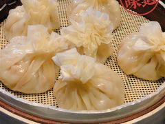 蒙古羊肉烧卖-蒙料·手把肉(望京店)