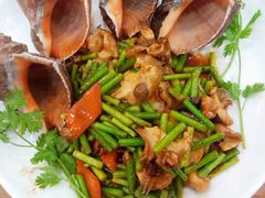 酱爆海螺-四海鲜渔家菜(黄金海岸店)
