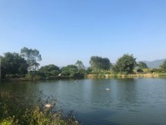 -正宗鸡饭粤香酒家(朱村店)