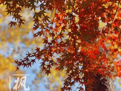 -溪口-滕头旅游景区