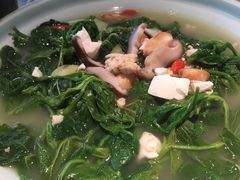 -大榕树下顺德菜(融创茂店)