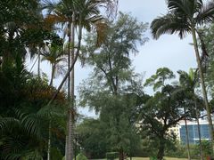 -北海市海滨公园