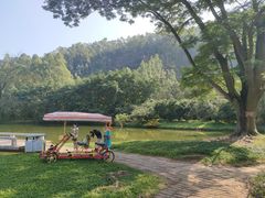 -南沙蒲洲花园