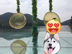 -石燕湖生态旅游景区