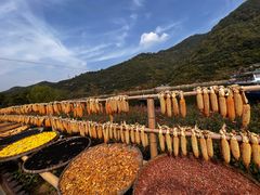 -新安江山水画廊风景区