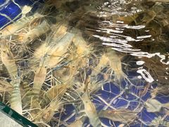 -御生皇·新天然居·顺德鱼生·顺德菜·广式早茶