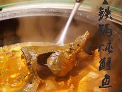 鲟鱼-姥家大锅台水库渔家