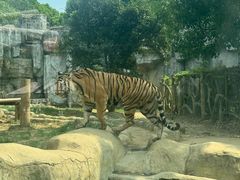 -常州淹城野生动物世界