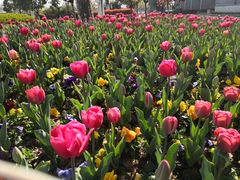 -无锡市市民中心