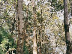 -苍山感通索道