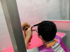 -宠福鑫康馨动物医院·骨科·眼科