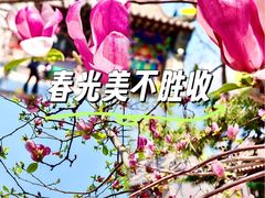 -护国法轮寺