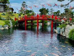 -芽庄珍珠岛游乐园