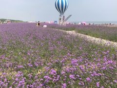 -渔岛海洋度假区