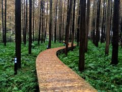 怡沁园度假村-上海怡沁园度假酒店