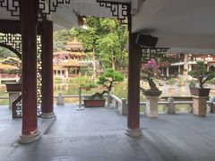 -深圳仙湖植物园